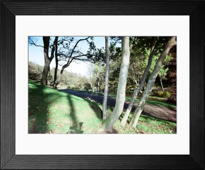 Framed Print : Valley Gardens, Saltburn. 29th October 1990 Framed Print : Valley Gardens, Saltburn. 29th October 1990