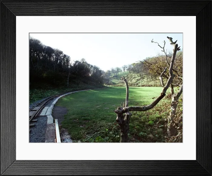 Framed Print : Valley Gardens, Saltburn. 29th October 1990 Framed Print : Valley Gardens, Saltburn. 29th October 1990