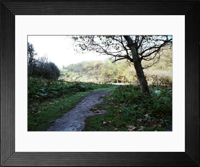 Framed Print : Valley Gardens, Saltburn. 29th October 1990 Framed Print : Valley Gardens, Saltburn. 29th October 1990