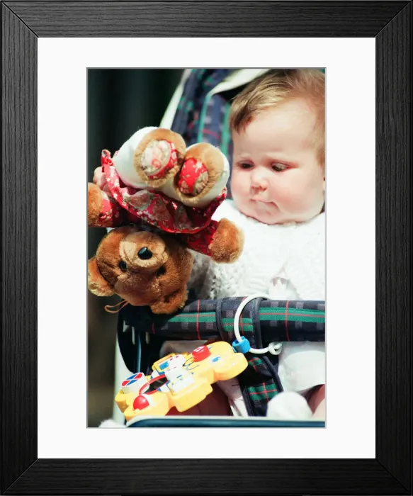 Framed Print : Teddy Bears Picnic at the Valley Gardens, Saltburn, 15th June 1994 Framed Print : Teddy Bears Picnic at the Valley Gardens, Saltburn, 15th June 1994