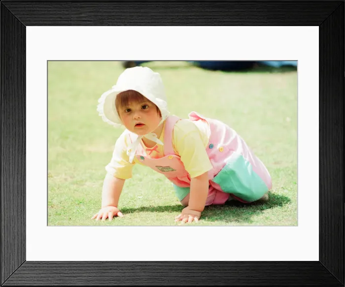 Framed Print : Teddy Bears Picnic at the Valley Gardens, Saltburn, 15th June 1994 Framed Print : Teddy Bears Picnic at the Valley Gardens, Saltburn, 15th June 1994