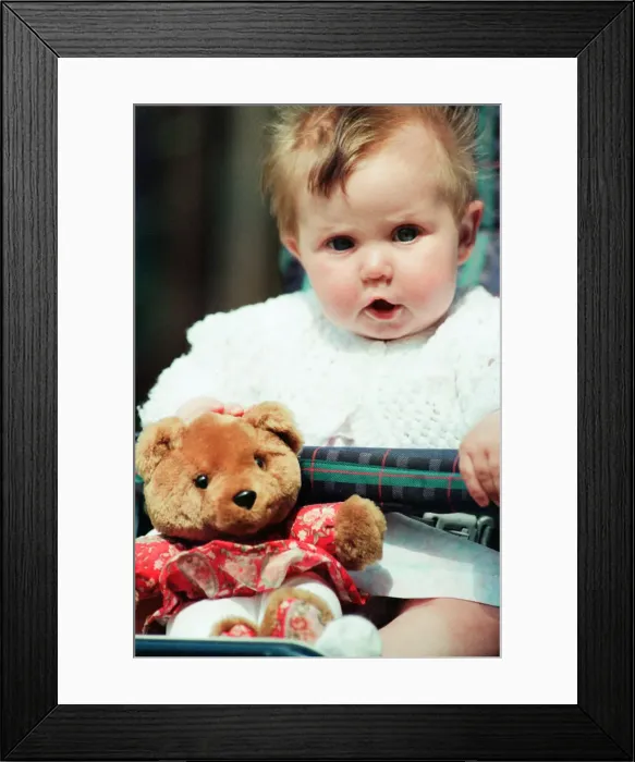Framed Print : Teddy Bears Picnic at the Valley Gardens, Saltburn, 15th June 1994 Framed Print : Teddy Bears Picnic at the Valley Gardens, Saltburn, 15th June 1994