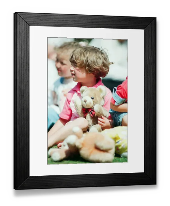 Framed Print : Teddy Bears Picnic at the Valley Gardens, Saltburn, 15th June 1994 Framed Print : Teddy Bears Picnic at the Valley Gardens, Saltburn, 15th June 1994