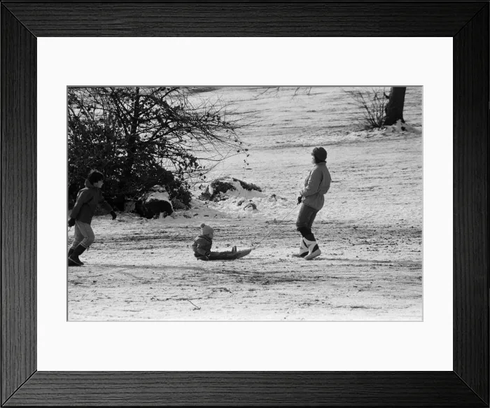 Framed Print : Sledging in Reading. 8th February 1986 Framed Print : Sledging in Reading. 8th February 1986