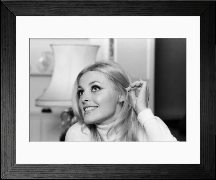 Framed Print : Sharon Tate, Actress and Model, aged 22 years old, pictured at her apartment in Belgravia Framed Print : Sharon Tate, Actress and Model, aged 22 years old, pictured at her apartment in Belgravia