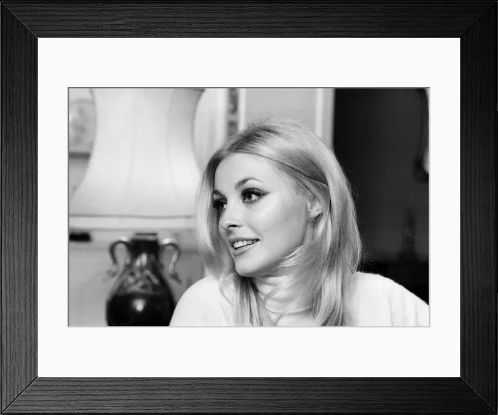 Framed Print : Sharon Tate, Actress and Model, aged 22 years old, pictured at her apartment in Belgravia Framed Print : Sharon Tate, Actress and Model, aged 22 years old, pictured at her apartment in Belgravia