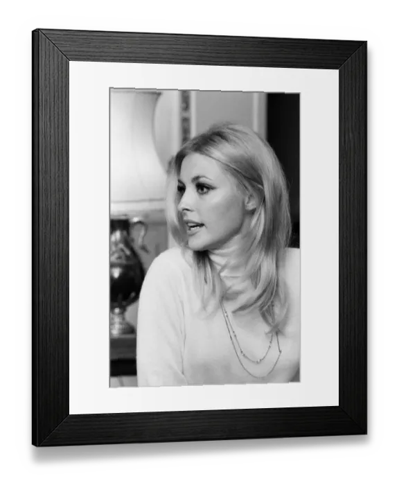Framed Print : Sharon Tate, Actress and Model, aged 22 years old, pictured at her apartment in Belgravia Framed Print : Sharon Tate, Actress and Model, aged 22 years old, pictured at her apartment in Belgravia