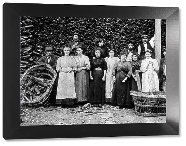 Workers from Amington Road Tannery, Tanyard Lane, Acocks Green, Birmingham, Circa 1905