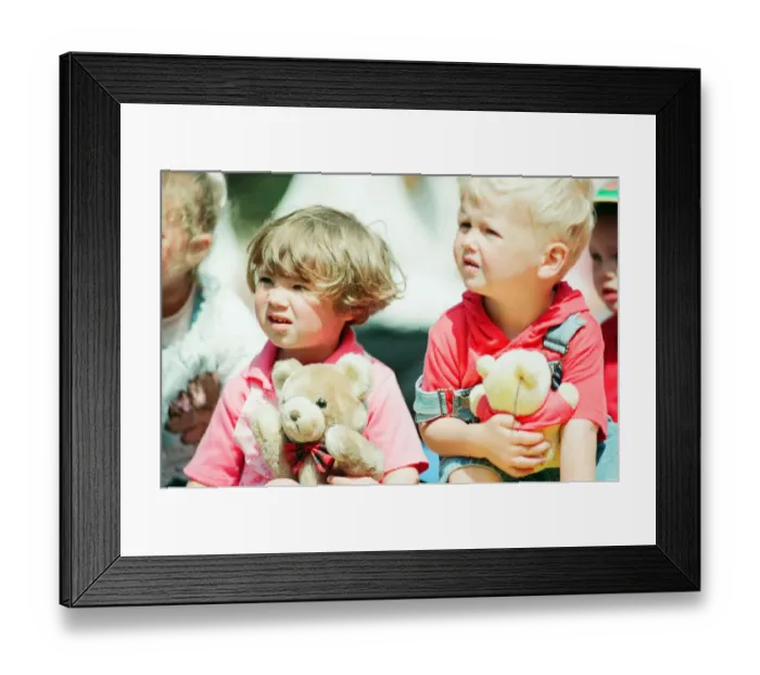 Framed Print : Teddy Bears Picnic at the Valley Gardens, Saltburn, 15th June 1994 Framed Print : Teddy Bears Picnic at the Valley Gardens, Saltburn, 15th June 1994