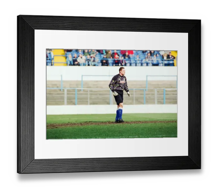 Framed Print : Cardiff 1-4 Fulham, League Division 3 match at Cardiff City Stadium