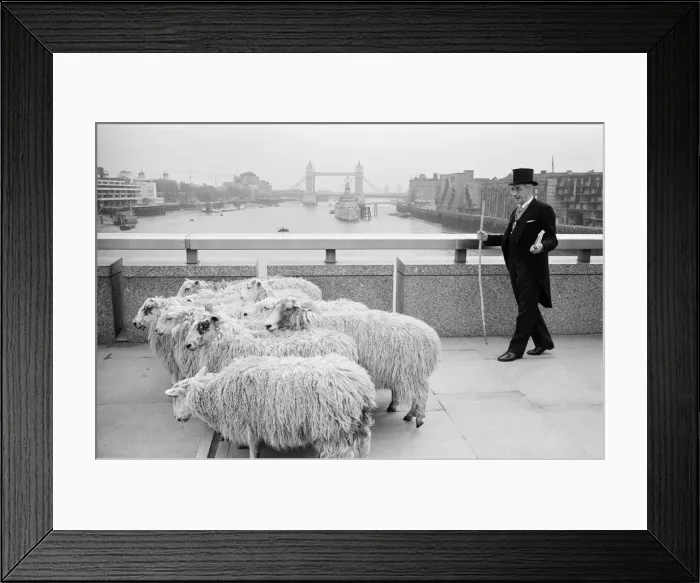Framed Print : GLC Chairman Harold Mote, was recently granted Freedom of the City of London Framed Print : GLC Chairman Harold Mote, was recently granted Freedom of the City of London