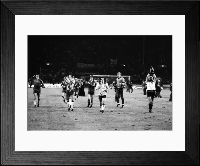 Framed Print : England v Hungary, final score 1-0 to England. FIFA World Cup Group 4 Framed Print : England v Hungary, final score 1-0 to England. FIFA World Cup Group 4