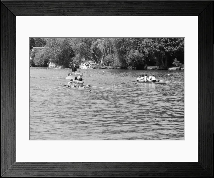 Framed Print : Reading Amateur Regatta, River Thames, Reading, June 1985 Framed Print : Reading Amateur Regatta, River Thames, Reading, June 1985