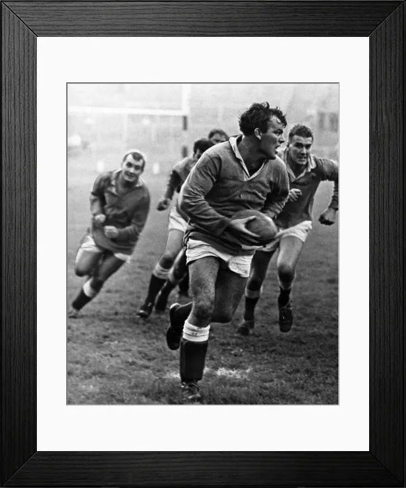Framed Print : Boyo James, Bridgend Rugby Union Player, breaks away with the ball Framed Print : Boyo James, Bridgend Rugby Union Player, breaks away with the ball