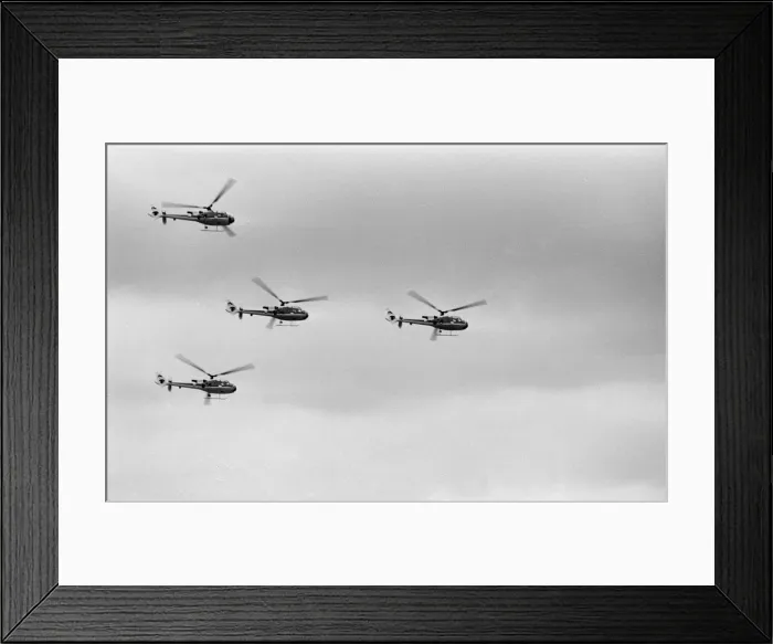 Framed Print : RAF Greenham Common, Air Show, Berkshire, June 1980 Framed Print : RAF Greenham Common, Air Show, Berkshire, June 1980