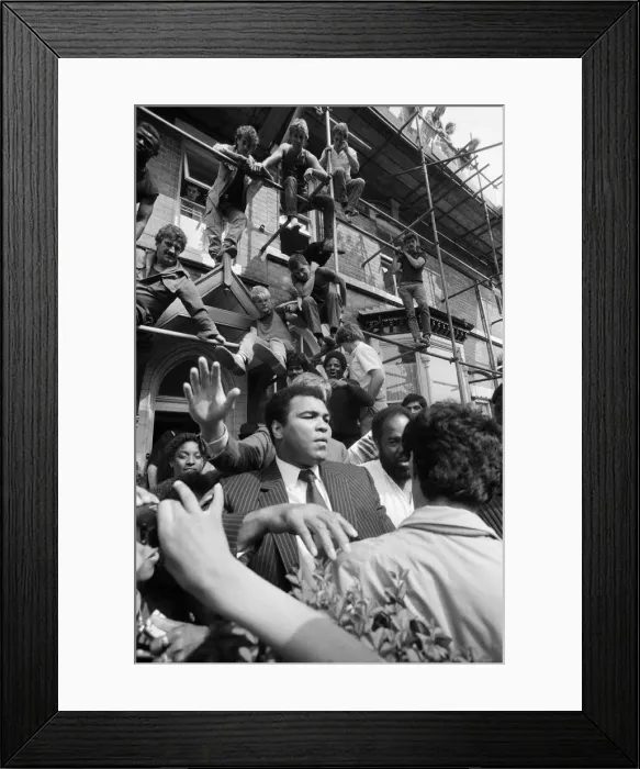 Framed Print : Admires climb scaffolding and occupy every other possible viewpoint to get a glimpse of Framed Print : Admires climb scaffolding and occupy every other possible viewpoint to get a glimpse of