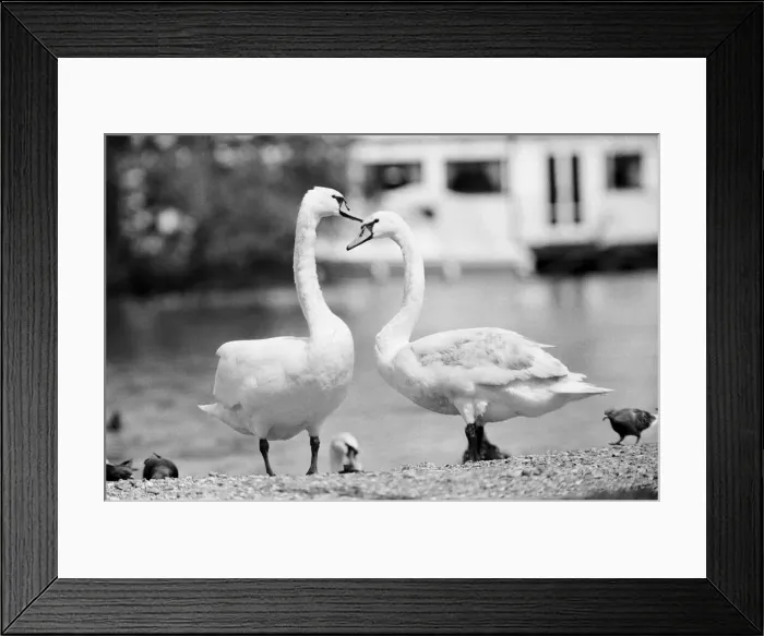 Framed Print : Summer Weather Pix, Reading, June 1980 Framed Print : Summer Weather Pix, Reading, June 1980