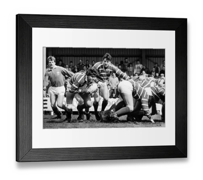 Framed Print : Owain Williams, Bridgend Rugby Union Player, breaks from a scrum against Pontypridd Framed Print : Owain Williams, Bridgend Rugby Union Player, breaks from a scrum against Pontypridd