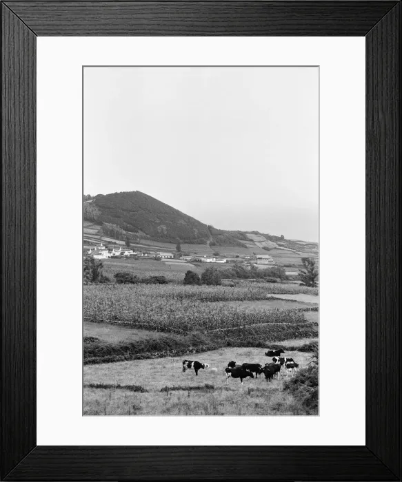 Framed Print : General Views of Terceira Island, in the Azores archipelago, North Atlantic Framed Print : General Views of Terceira Island, in the Azores archipelago, North Atlantic