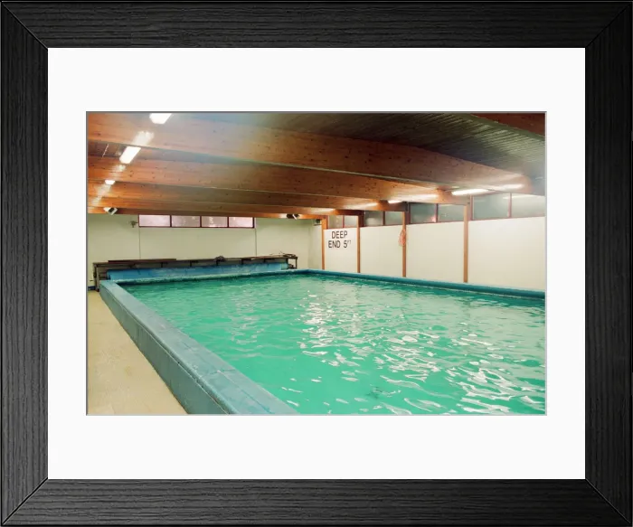 Framed Print : Swimming Pool at Thingwall Hall, Broadgreen, Liverpool, 27th September 1993 Framed Print : Swimming Pool at Thingwall Hall, Broadgreen, Liverpool, 27th September 1993