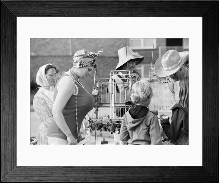 Framed Print : Pram Racing, School Green, Shinfield, Reading, June 1980