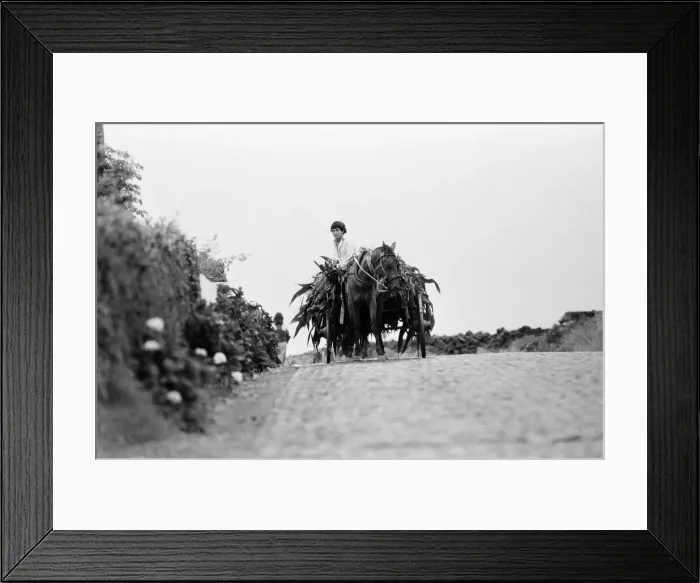 Framed Print : General Views of Terceira Island, in the Azores archipelago, North Atlantic Framed Print : General Views of Terceira Island, in the Azores archipelago, North Atlantic
