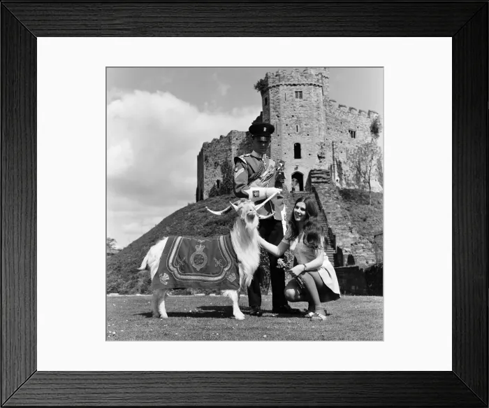 Framed Print : In the grounds of Cardiff Castle is the College of Music and Drama Framed Print : In the grounds of Cardiff Castle is the College of Music and Drama
