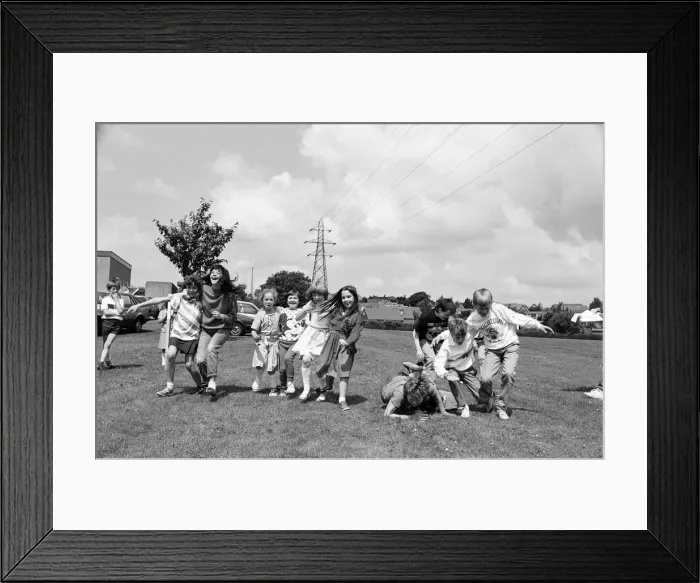 Framed Print : All fall down! Contestants in the three-legged race at Scissett C of E First School Framed Print : All fall down! Contestants in the three-legged race at Scissett C of E First School