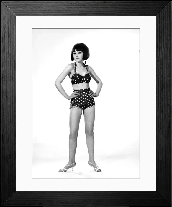 Framed Print : Model, Debbie Attwood, poses in the latest beachwear fashion, Studio Pix, 1963 Framed Print : Model, Debbie Attwood, poses in the latest beachwear fashion, Studio Pix, 1963