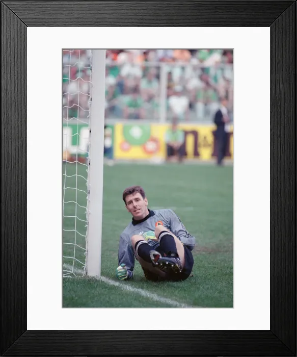 Framed Print : 1990 World Cup Second Round match at the Stadio Luidi Ferraris in Genoa, Italy Framed Print : 1990 World Cup Second Round match at the Stadio Luidi Ferraris in Genoa, Italy
