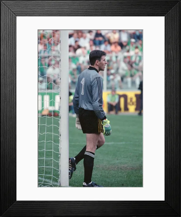 Framed Print : 1990 World Cup Second Round match at the Stadio Luidi Ferraris in Genoa, Italy Framed Print : 1990 World Cup Second Round match at the Stadio Luidi Ferraris in Genoa, Italy