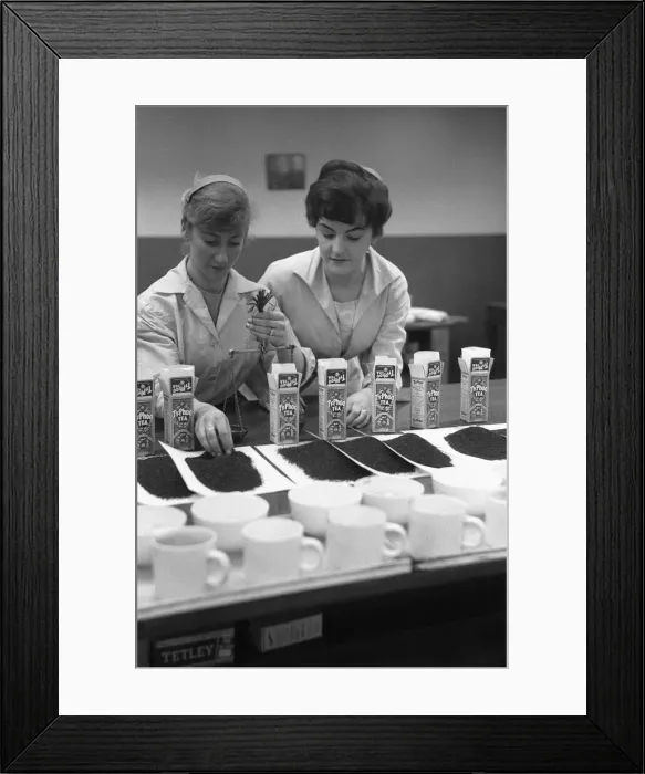 Framed Print : Assistants in the tea tasting department at the Ty-phoo Tea factory Bordesley Street