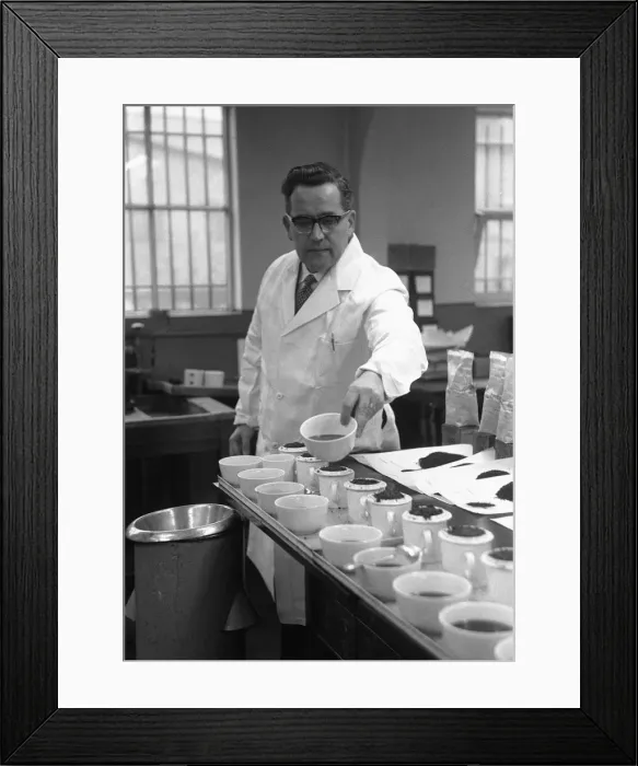 Framed Print : The tea taster at work. A sip, a quick taste and Mr Edward Pedvin, of Hollywood Framed Print : The tea taster at work. A sip, a quick taste and Mr Edward Pedvin, of Hollywood