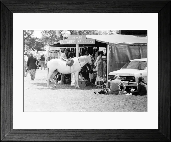 Framed Print : Gala, Beenham, Berkshire, July 1980 Framed Print : Gala, Beenham, Berkshire, July 1980