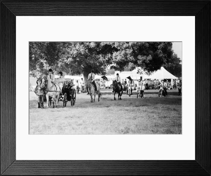 Framed Print : Gala, Beenham, Berkshire, July 1980 Framed Print : Gala, Beenham, Berkshire, July 1980