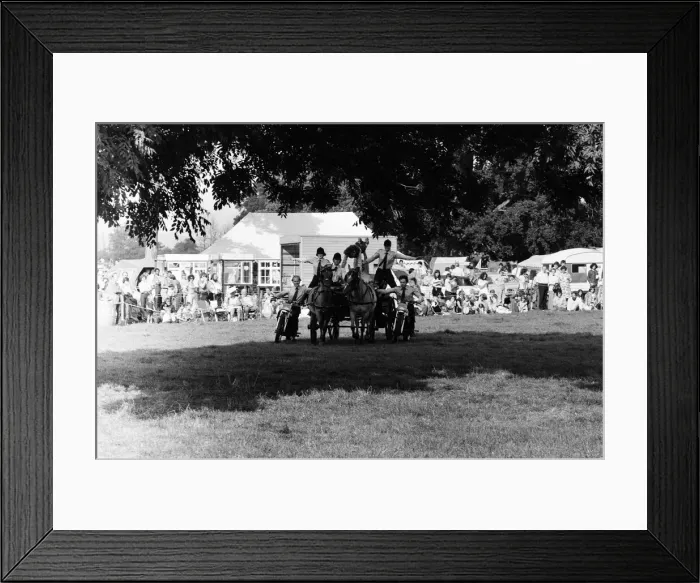 Framed Print : Gala, Beenham, Berkshire, July 1980 Framed Print : Gala, Beenham, Berkshire, July 1980