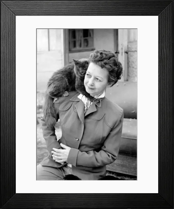 Framed Print : Cat Woman: Mrs Nan Cotton who has 80 cats as pets in her home Framed Print : Cat Woman: Mrs Nan Cotton who has 80 cats as pets in her home
