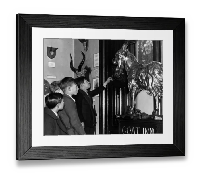 Framed Print : Schoolboys examine the Golden Goat at The Goat Inn, on Bottle Ban, Gateshead Framed Print : Schoolboys examine the Golden Goat at The Goat Inn, on Bottle Ban, Gateshead