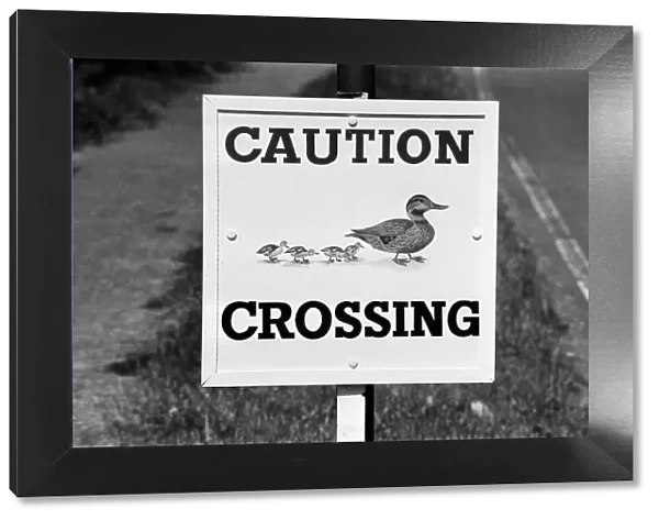 Caution, Duck Crossing Sign at the Village of Sherfield on Loddon, North Hampshire