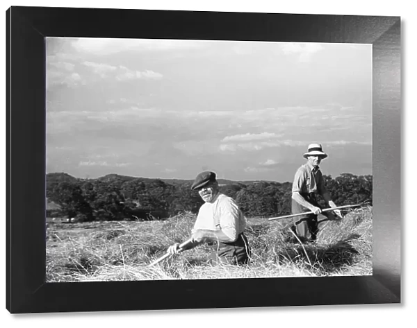 Hay making at Four Elms Leigh in Kent. 1st July 1939