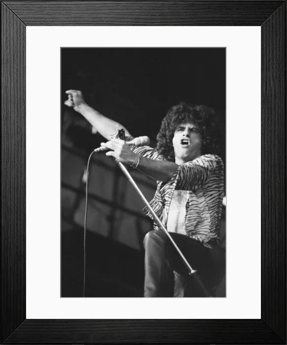 Framed Print : Reading Rock Festival 1980, the 20th National Rock Festival