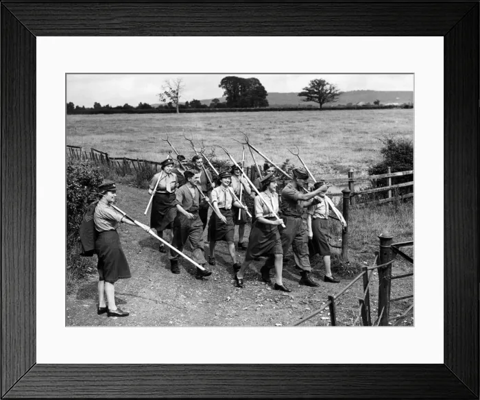 Framed Print : This picture is about work. But the works looks such fun Framed Print : This picture is about work. But the works looks such fun