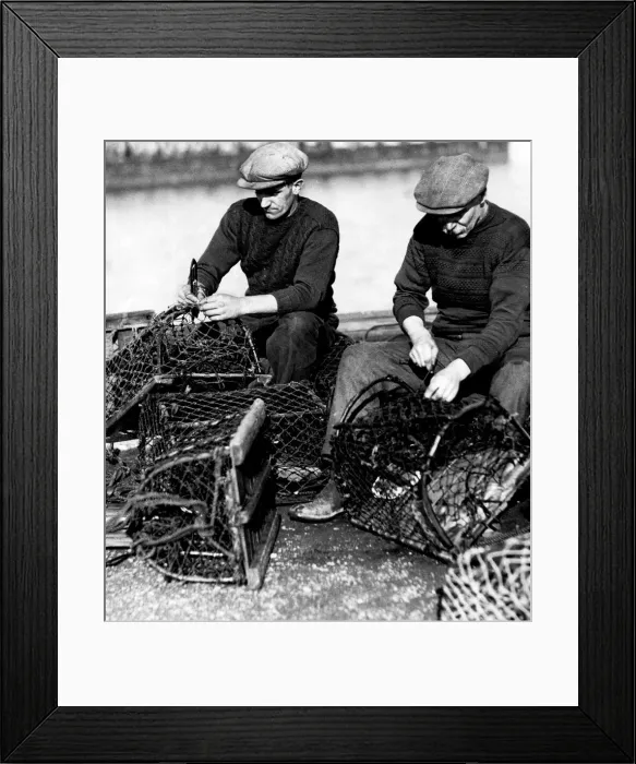 Framed Print : Mending their nets - Amble fishermen repairing their crab pots on the pier Framed Print : Mending their nets - Amble fishermen repairing their crab pots on the pier