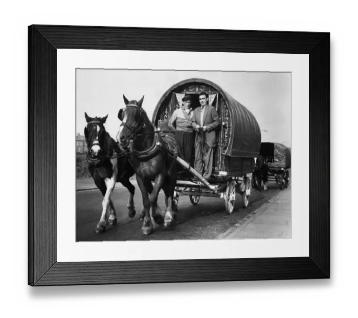Framed Print : Gypsies in their Romani wagons, on way to Appleby Horse Fair, in Cumbria