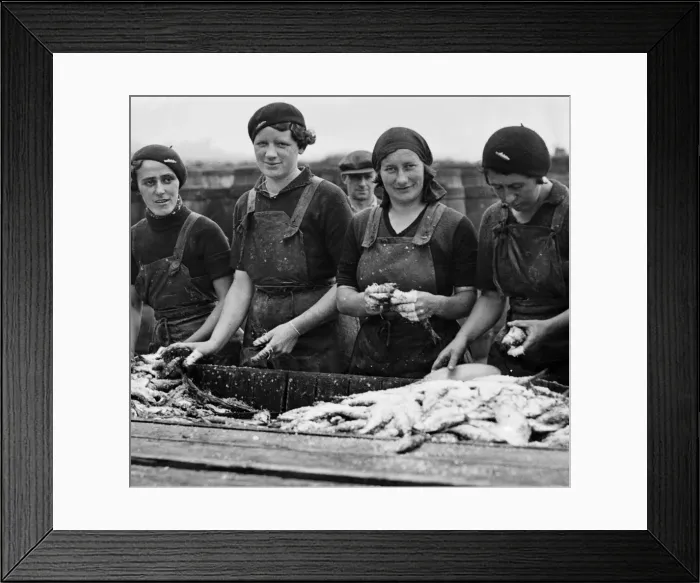 Framed Print : Scottish fishergirls preparing fish for curing after the landing of a heavy catch