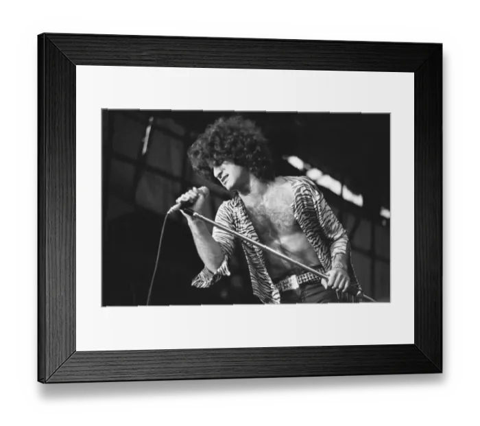 Framed Print : Reading Rock Festival 1980, the 20th National Rock Festival