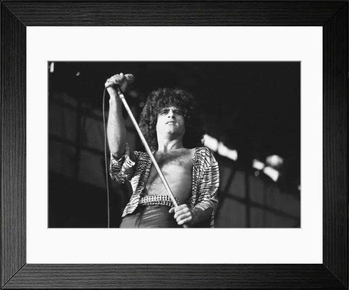 Framed Print : Reading Rock Festival 1980, the 20th National Rock Festival