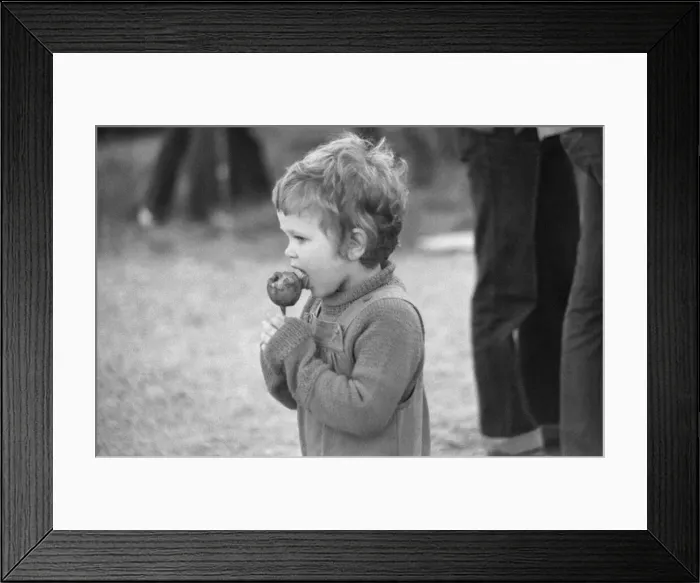 Framed Print : Reading Rock Festival 1980, the 20th National Rock Festival Framed Print : Reading Rock Festival 1980, the 20th National Rock Festival