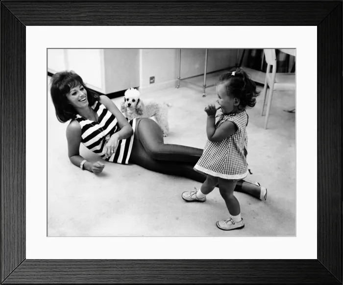Framed Print : Jackie Collins, author and actress, and sister to Joan Collins, pictured in her Hampstead Framed Print : Jackie Collins, author and actress, and sister to Joan Collins, pictured in her Hampstead