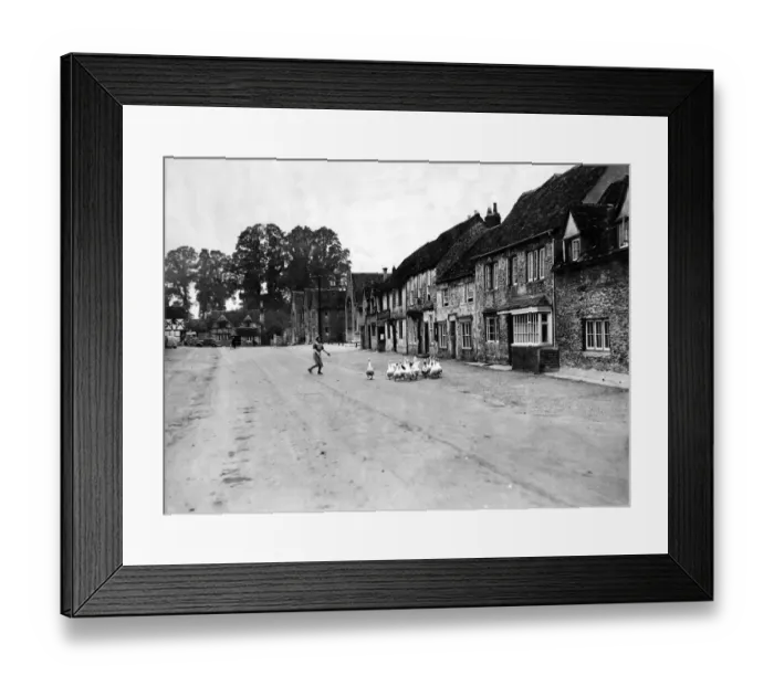 Framed Print : Laycock village, Wiltshire, a lady geese keeper is seen driving the birds through